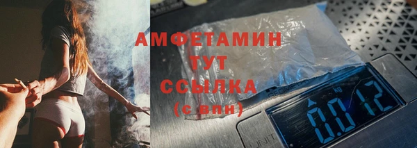 соль ск Тайга