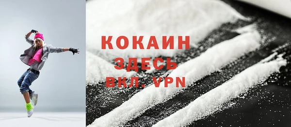 соль ск Тайга