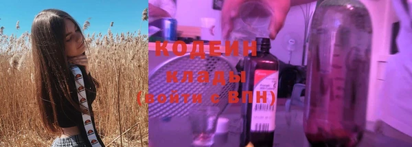 соль ск Тайга