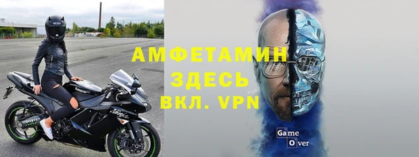 соль ск Тайга