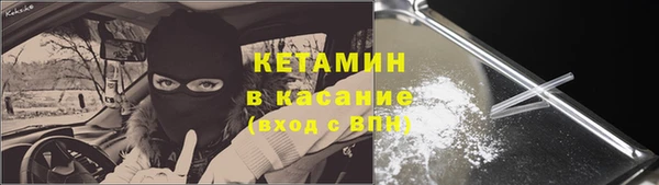 соль ск Тайга