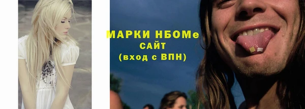 соль ск Тайга