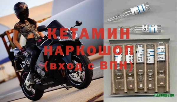 соль ск Тайга