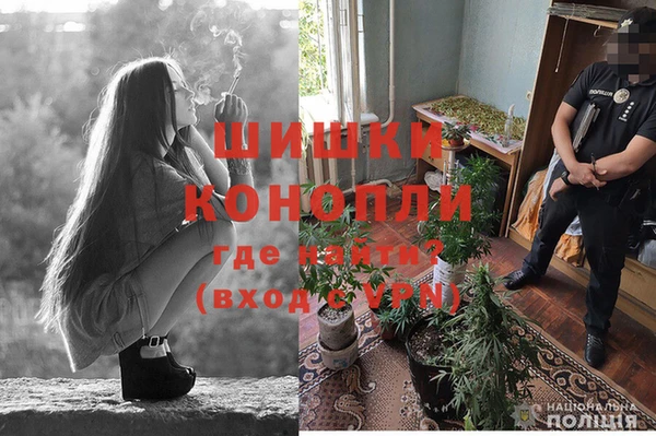 спайс Чекалин