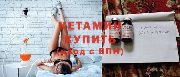 соль ск Тайга
