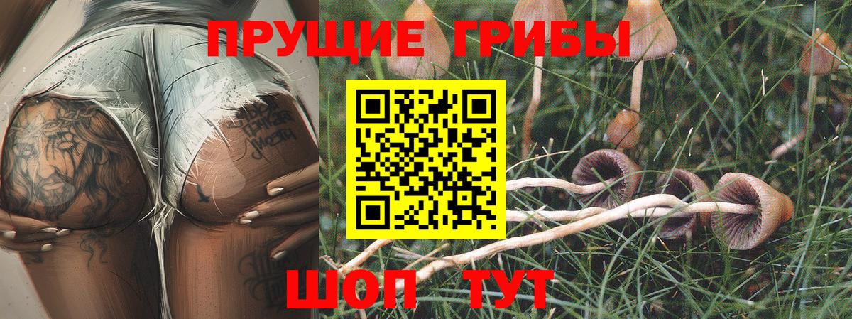 Галлюциногенные грибы Cubensis Тобольск