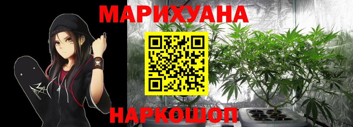 Каннабис сатива Тобольск